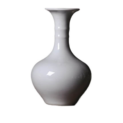 Compatible porzellan Jahrriesnge  for pure white vase cna0763 