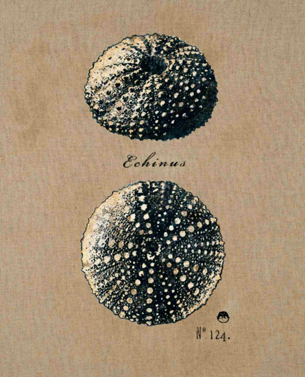 Compatible Stillleben Jahrriesnge  for untitle-lpf00181 