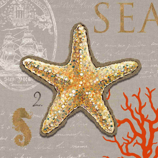 Compatible Stillleben Jahrriesnge  for starfish-lpf00188 