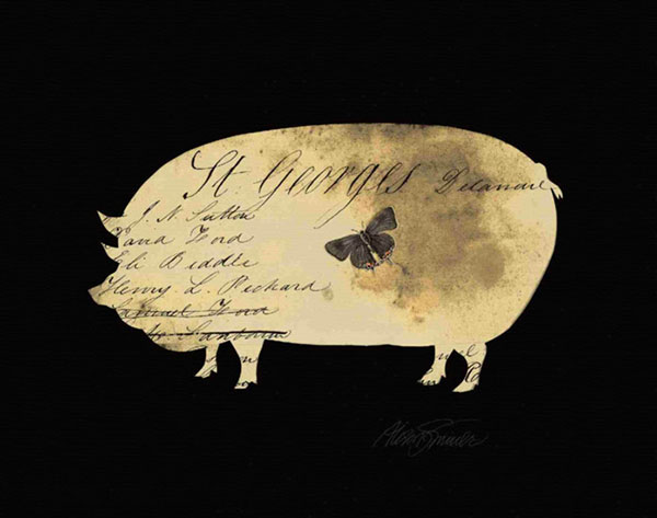 Compatible Stillleben Jahrriesnge  for pig-lpf00210 