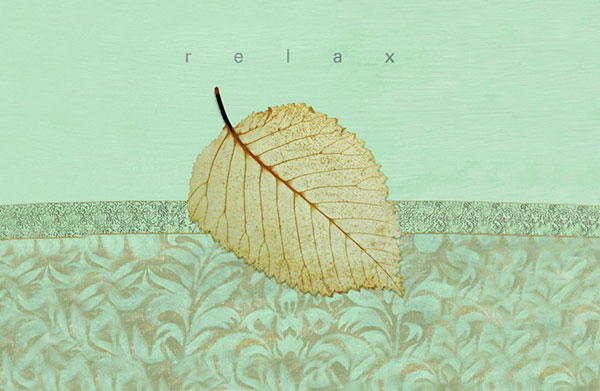 Compatible Stillleben Jahrriesnge  for leaf-lpf00498 