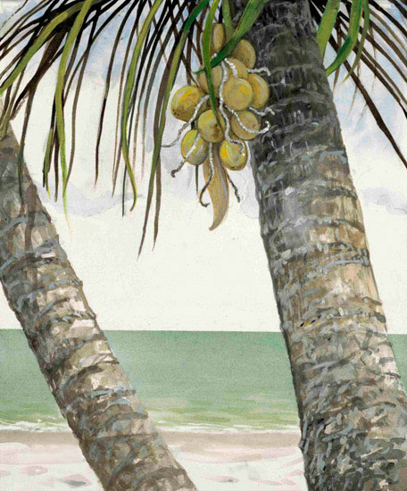 Compatible Landschaft JAHRRIESNGE  for coconut-tree-lpf00845 