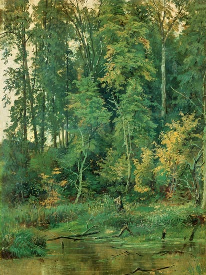 Compatible Landschaft JAHRRIESNGE  for tree-lpf01686 