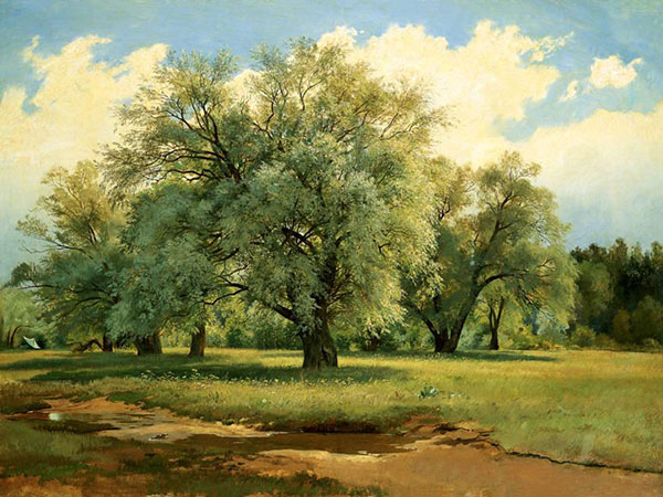 Compatible Landschaft JAHRRIESNGE  for tree-lpf01687 