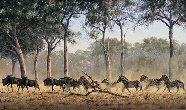 Compatible Tiere Jahrriesnge  for Plain-zebra-lpf02533 