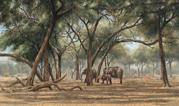 Compatible Tiere Jahrriesnge  for elephant-lpf02557 