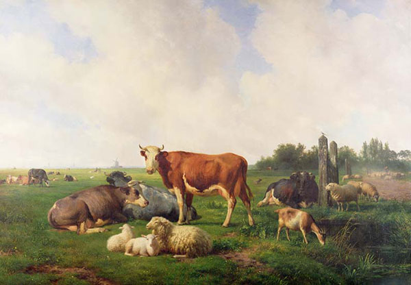 Compatible Tiere Jahrriesnge  for simmental-lpf02602 