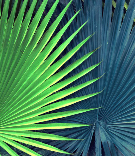 Compatible Blumen JAHRRIESNGE  for pu kui lpf04589 