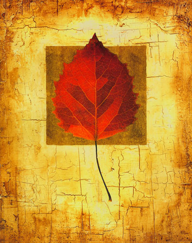 Compatible Blumen JAHRRIESNGE  for leaf lpf04635 