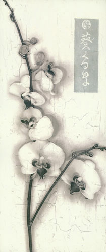 Compatible Blumen JAHRRIESNGE  for flowers lpf04655 