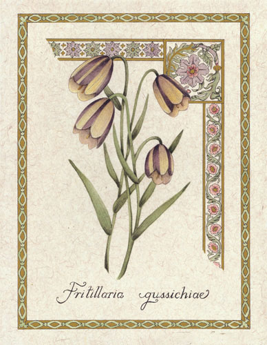 Compatible Blumen JAHRRIESNGE  for flower lpf04738 