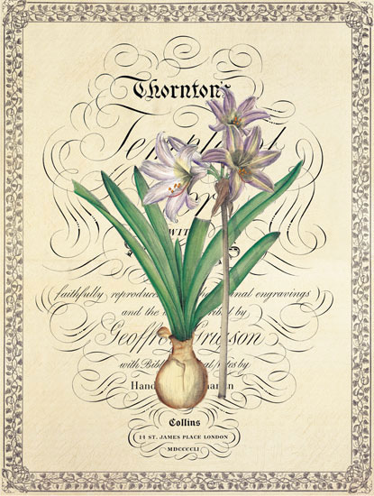 Compatible Blumen JAHRRIESNGE  for flower lpf04739 