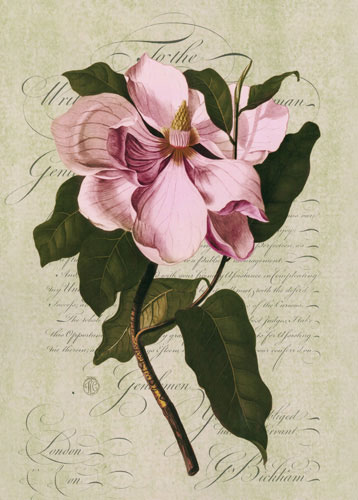 Compatible Blumen JAHRRIESNGE  for flowers lpf04758 