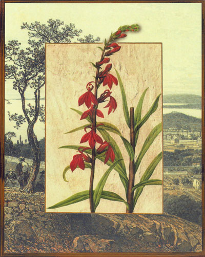 Compatible Blumen JAHRRIESNGE  for flowers lpf04830 