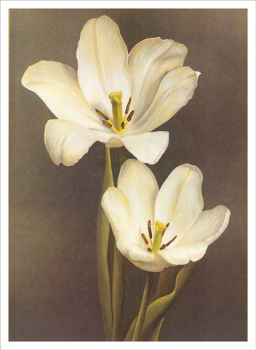 Compatible Blumen JAHRRIESNGE  for flowers lpf04851 