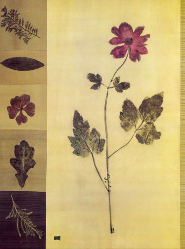 Compatible Blumen JAHRRIESNGE  for flowers lpf04864 