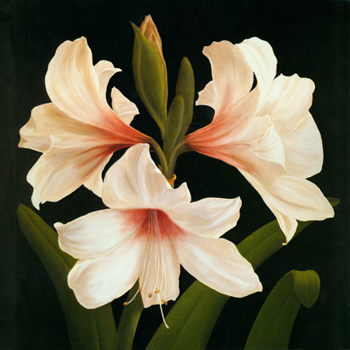 Compatible Blumen JAHRRIESNGE  for flowers lpf04952 