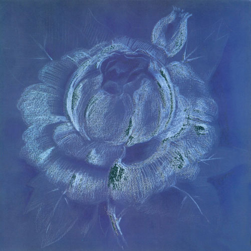 Compatible Blumen JAHRRIESNGE  for flowers lpf05269 