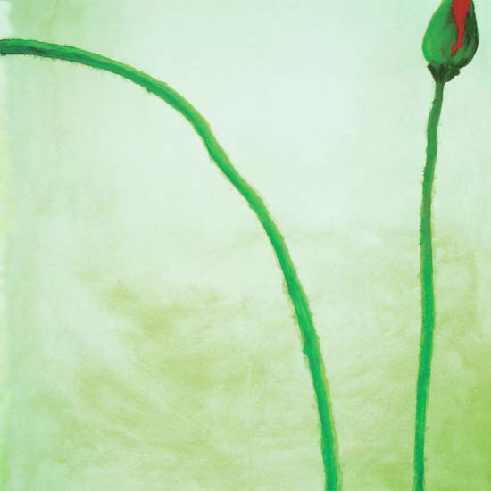 Compatible Blumen JAHRRIESNGE  for flowers lpf05539 