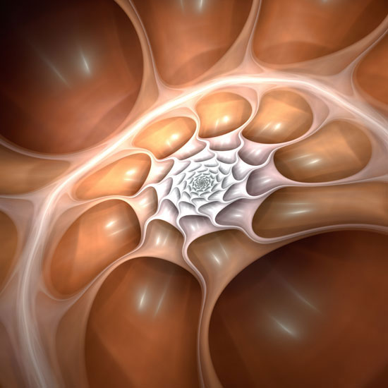 Compatible Abstrakt Jahrriesnge  for colorful-lpf06278 