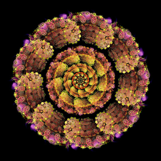 Compatible Abstrakt Jahrriesnge  for colorful-lpf06334 