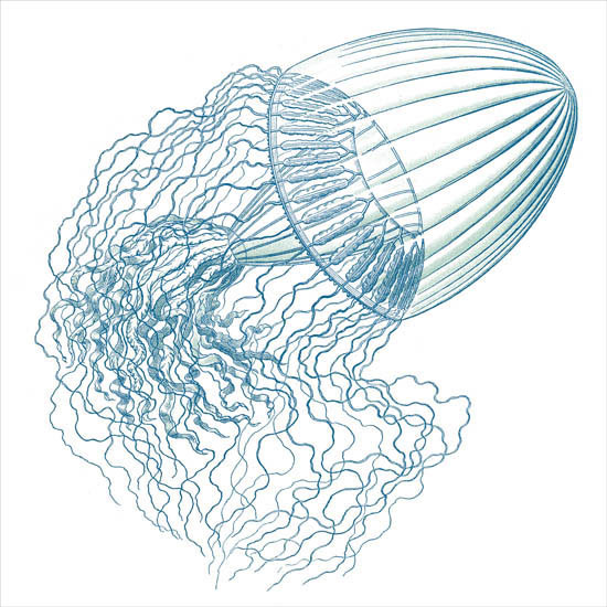 Compatible Abstrakt Jahrriesnge  for colorful-lpf06397 