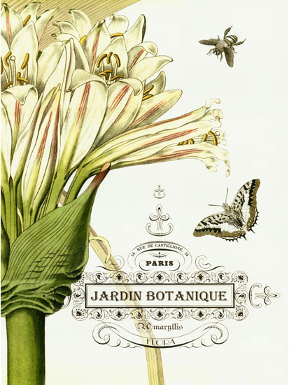 Compatible Blumen JAHRRIESNGE  for flowers-lpf06633 