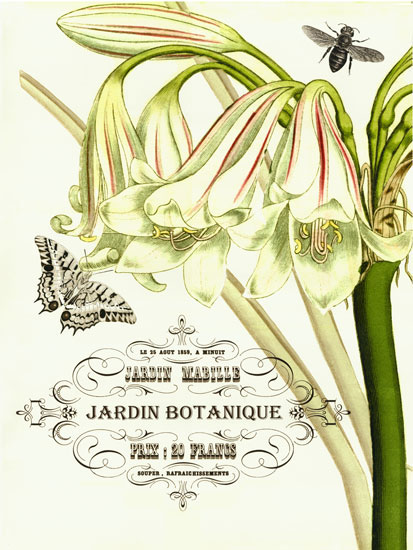 Compatible Blumen JAHRRIESNGE  for flowers-lpf06635 