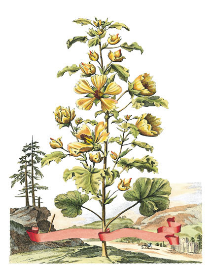 Compatible Blumen JAHRRIESNGE  for flowers-lpf06788 