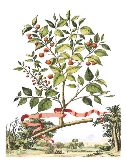 Compatible Blumen JAHRRIESNGE  for flowers-lpf06789 