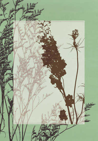 Compatible Blumen JAHRRIESNGE  for flowers-lpf06812 