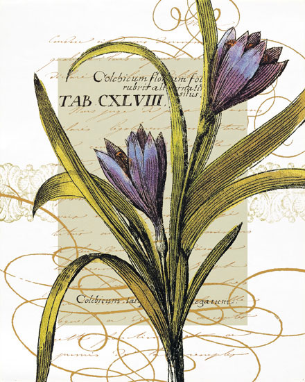 Compatible Blumen JAHRRIESNGE  for flowers-lpf06824 