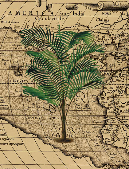 Compatible Blumen JAHRRIESNGE  for grass-lpf06843 