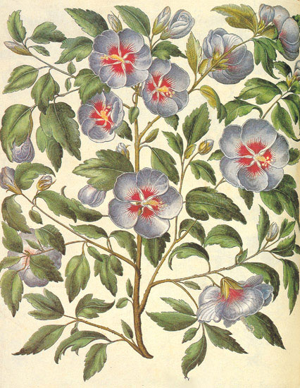 Compatible Blumen JAHRRIESNGE  for flowers-lpf06845 