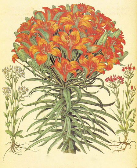 Compatible Blumen JAHRRIESNGE  for flowers-lpf06871 