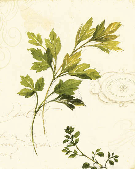 Compatible Blumen JAHRRIESNGE  for leaves-lpf06902 