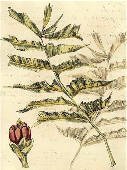 Compatible Blumen JAHRRIESNGE  for flowers-lpf06910 