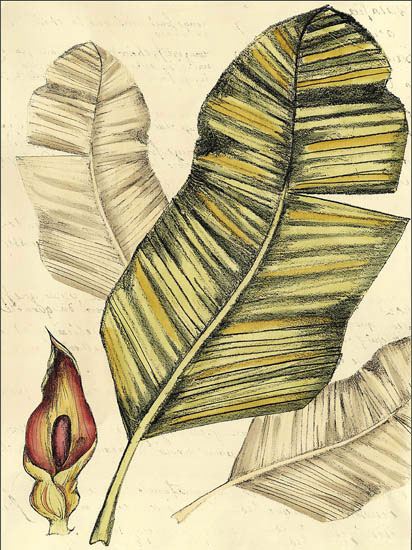 Compatible Blumen JAHRRIESNGE  for flowers-lpf06911 