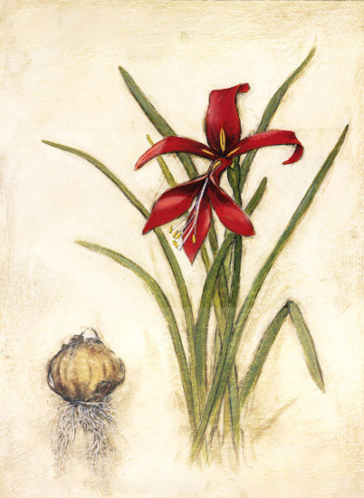 Compatible Blumen JAHRRIESNGE  for flowers-lpf06963 