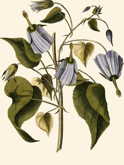 Compatible Blumen JAHRRIESNGE  for flowers-lpf06995 