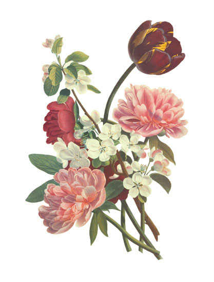 Compatible Blumen JAHRRIESNGE  for flowers-lpf06999 