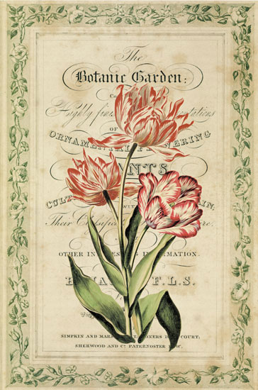 Compatible Blumen JAHRRIESNGE  for flowers-lpf07085 