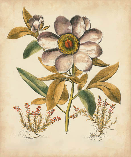 Compatible Blumen JAHRRIESNGE  for flowers-lpf07109 