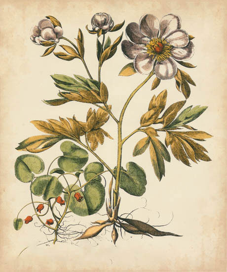 Compatible Blumen JAHRRIESNGE  for flowers-lpf07111 