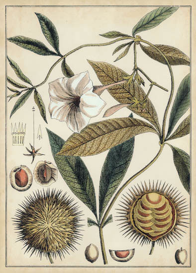 Compatible Blumen JAHRRIESNGE  for flowers-lpf07113 