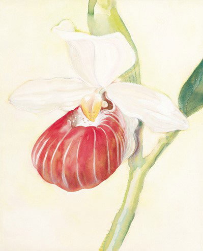 Compatible Blumen JAHRRIESNGE  for flowers-lpf07175 