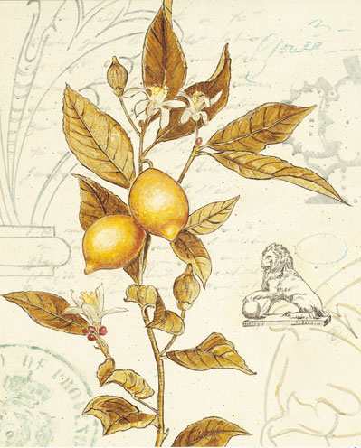 Compatible Blumen JAHRRIESNGE  for flowers-lpf07186 