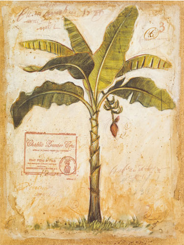 Compatible Blumen JAHRRIESNGE  for flowers-lpf07195 