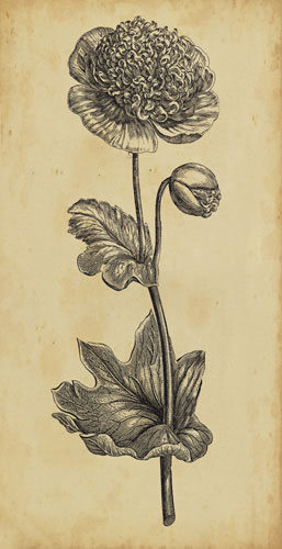 Compatible Blumen JAHRRIESNGE  for flowers-lpf07201 