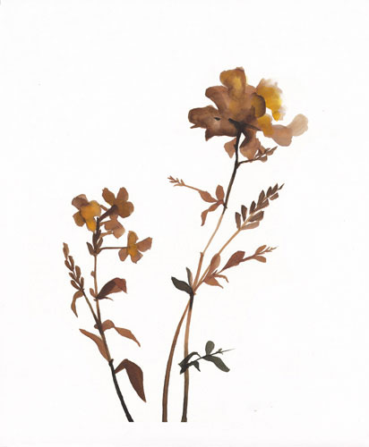 Compatible Blumen JAHRRIESNGE  for flowers-lpf07210 